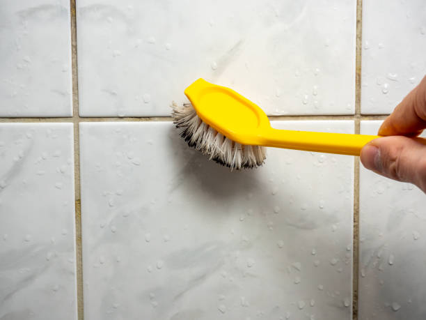 Best Mold Remediation  in Mitchell, IN
