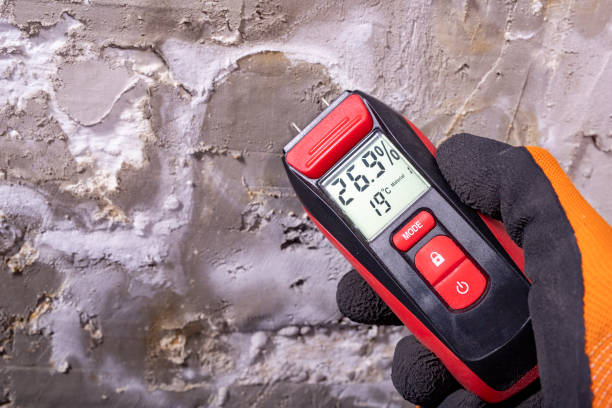 Best Commercial Mold Removal  in Mitchell, IN