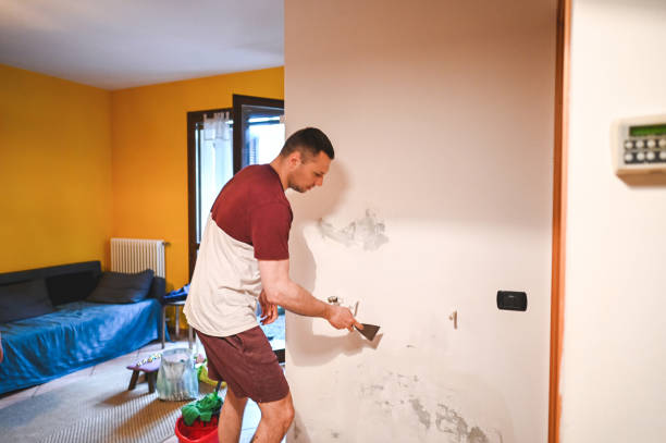 Best Black Mold Removal  in Mitchell, IN