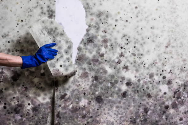 Water Damage Restoration in Mitchell, IN
